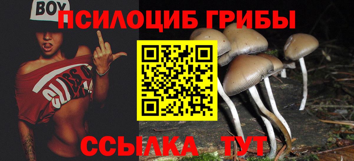 Когалым  Псилоцибиновые грибы мицелий  Вход с VPN 