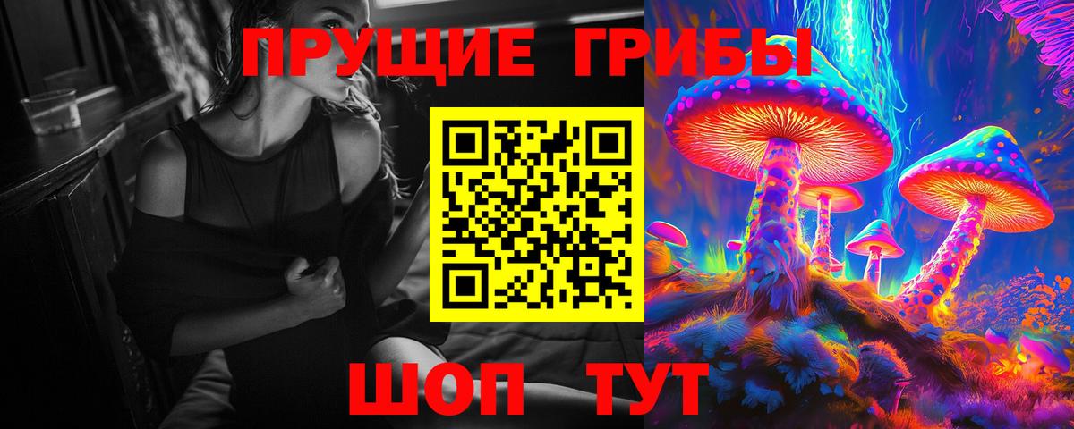 Псилоцибиновые грибы GOLDEN TEACHER Когалым